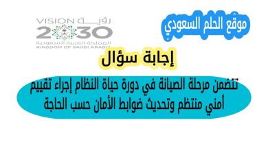 تتضمن مرحلة الصيانة في دورة حياة النظام إجراء تقييم أمني منتظم وتحديث ضوابط الأمان حسب الحاجة