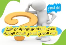 تتغذى النباتات غير الوعائية عن طريق البناء الضوئي كما في النباتات الوعائية