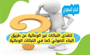تتغذى النباتات غير الوعائية عن طريق البناء الضوئي كما في النباتات الوعائية
