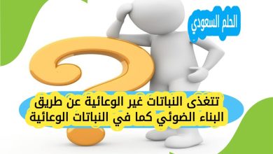 تتغذى النباتات غير الوعائية عن طريق البناء الضوئي كما في النباتات الوعائية