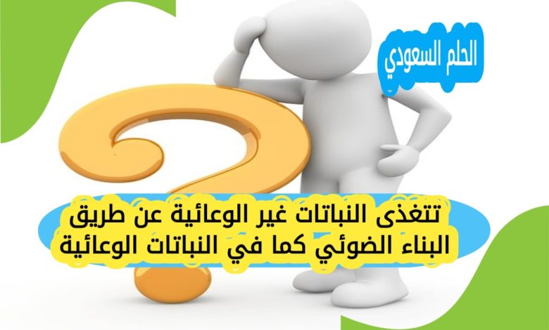 تتغذى النباتات غير الوعائية عن طريق البناء الضوئي كما في النباتات الوعائية