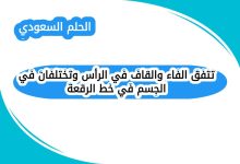 تتفق الفاء والقاف في الرأس وتختلفان في الجسم في خط الرقعة