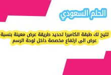 تتيح لك طبقة الكاميرا تحديد طريقة عرض معينة بنسبة عرض الى ارتفاع مخصصة داخل لوحة الرسم