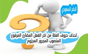 تحذف حروف العلة من اخر الفعل المضارع المرفوع المنصوب المجرور المجزوم