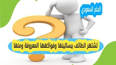 تشتهر الطائف ببساتينها وفواكهها المعروفة ومنها