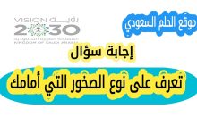تعرف على نوع الصخور التي أمامك