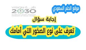 تعرف على نوع الصخور التي أمامك