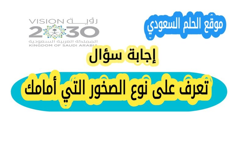 تعرف على نوع الصخور التي أمامك