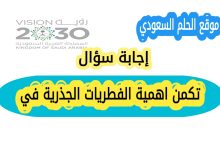 تكمن اهمية الفطريات الجذرية في