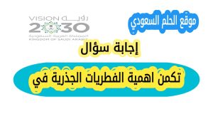 تكمن اهمية الفطريات الجذرية في