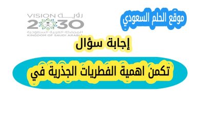 تكمن اهمية الفطريات الجذرية في