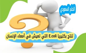 تنتج بكتيريا E.coli التي تعيش في أمعاء الإنسان