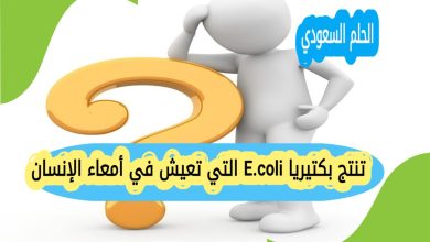 تنتج بكتيريا E.coli التي تعيش في أمعاء الإنسان