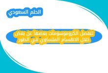تنفصل الكروموسومات بعضها عن بعض خلال الانقسام المتساوي في الطور