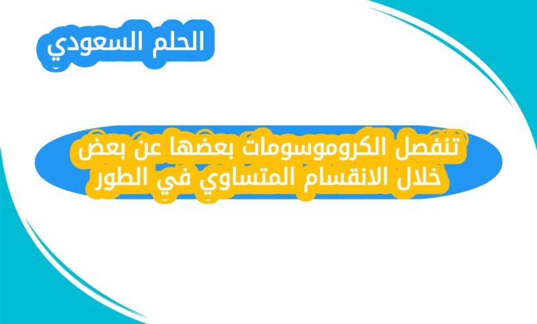 تنفصل الكروموسومات بعضها عن بعض خلال الانقسام المتساوي في الطور