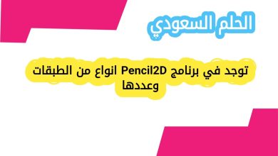 توجد في برنامج Pencil2D انواع من الطبقات وعددها