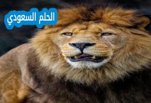 توقعات الابراج حظك اليوم برج الأسد
