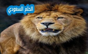 توقعات الابراج حظك اليوم برج الأسد