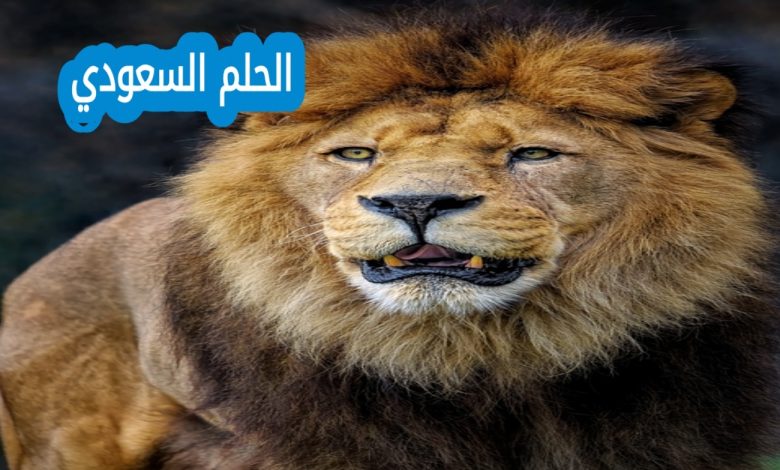 توقعات الابراج حظك اليوم برج الأسد