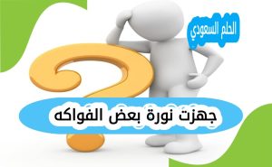 جهزت نورة بعض الفواكه