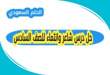حل درس شاعر وانتماء للصف السادس