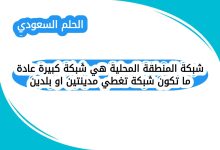شبكة المنطقة المحلية هي شبكة كبيرة عادة ما تكون شبكة تغطي مدينتين او بلدين