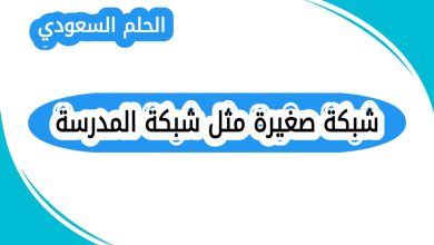 شبكة صغيرة مثل شبكة المدرسة