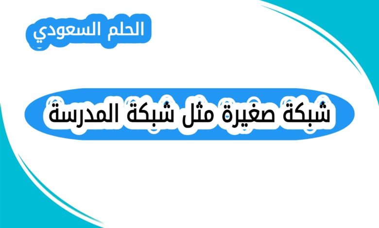 شبكة صغيرة مثل شبكة المدرسة