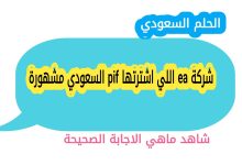 شركة ea اللي اشترتها pif السعودي مشهورة