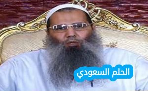 من هو شريف الهواري ويكيبيديا