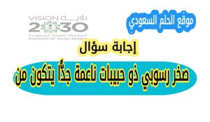 صخر رسوبي ذو حبيبات ناعمة جدًّا يتكون من