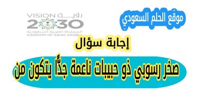 صخر رسوبي ذو حبيبات ناعمة جدًّا يتكون من