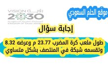 طول ملعب كرة المضرب 23.77 م وعرضه 8.32 وتقسمه شبكة في المنتصف بشكل متساوي