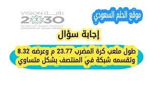 طول ملعب كرة المضرب 23.77 م وعرضه 8.32 وتقسمه شبكة في المنتصف بشكل متساوي