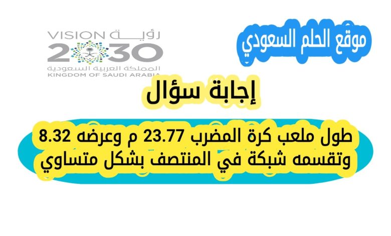 طول ملعب كرة المضرب 23.77 م وعرضه 8.32 وتقسمه شبكة في المنتصف بشكل متساوي