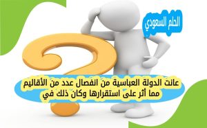عانت الدولة العباسية من انفصال عدد من الأقاليم مما أثر على استقرارها وكان ذلك في