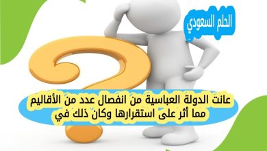 عانت الدولة العباسية من انفصال عدد من الأقاليم مما أثر على استقرارها وكان ذلك في