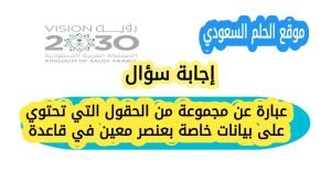 عبارة عن مجموعة من الحقول التي تحتوي على بيانات خاصة بعنصر معين في قاعدة