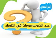 عدد الكروموسومات في الانسان