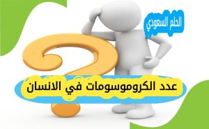 عدد الكروموسومات في الانسان 