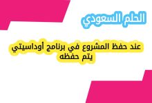 عند حفظ المشروع في برنامج أوداسيتي يتم حفظه؟