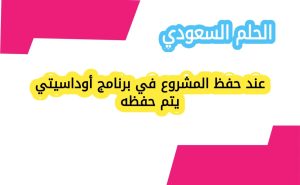 عند حفظ المشروع في برنامج أوداسيتي يتم حفظه؟