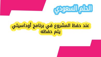 عند حفظ المشروع في برنامج أوداسيتي يتم حفظه؟