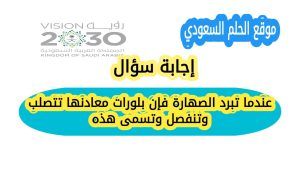 عندما تبرد الصهارة فإن بلورات معادنها تتصلب وتنفصل وتسمى هذه