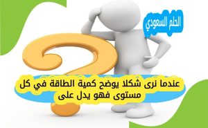 عندما نرى شكلا يوضح كمية الطاقة في كل مستوى فهو يدل على