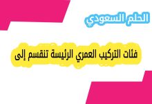 فئات التركيب العمري الرئيسة تنقسم إلى