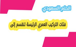 فئات التركيب العمري الرئيسة تنقسم إلى
