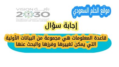 قاعدة المعلومات هي مجموعة من البيانات الأولية التي يمكن تغييرها وفرزها والبحث عنها