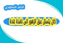 كان يتسلل عبق الزهور الى نافذة غادة