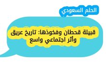 محتوى الكتاب